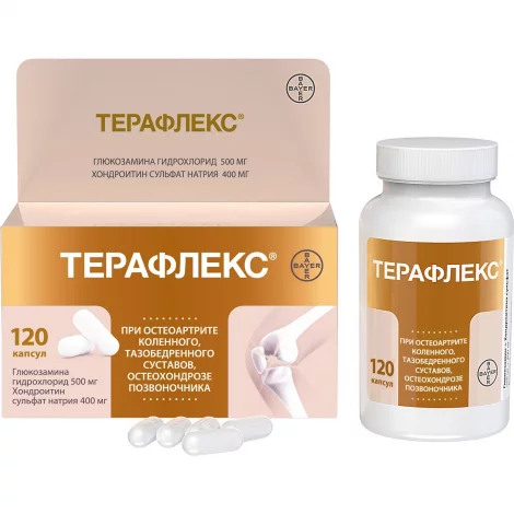 ТЕРАФЛЕКС КАПС., 500МГ/400МГ, №120