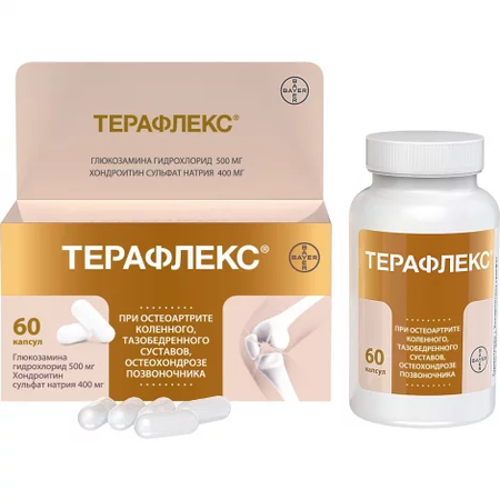 ТЕРАФЛЕКС КАПС., 500МГ/400МГ, №60