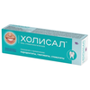 ХОЛИСАЛ ГЕЛЬ, ТУБА, 10Г